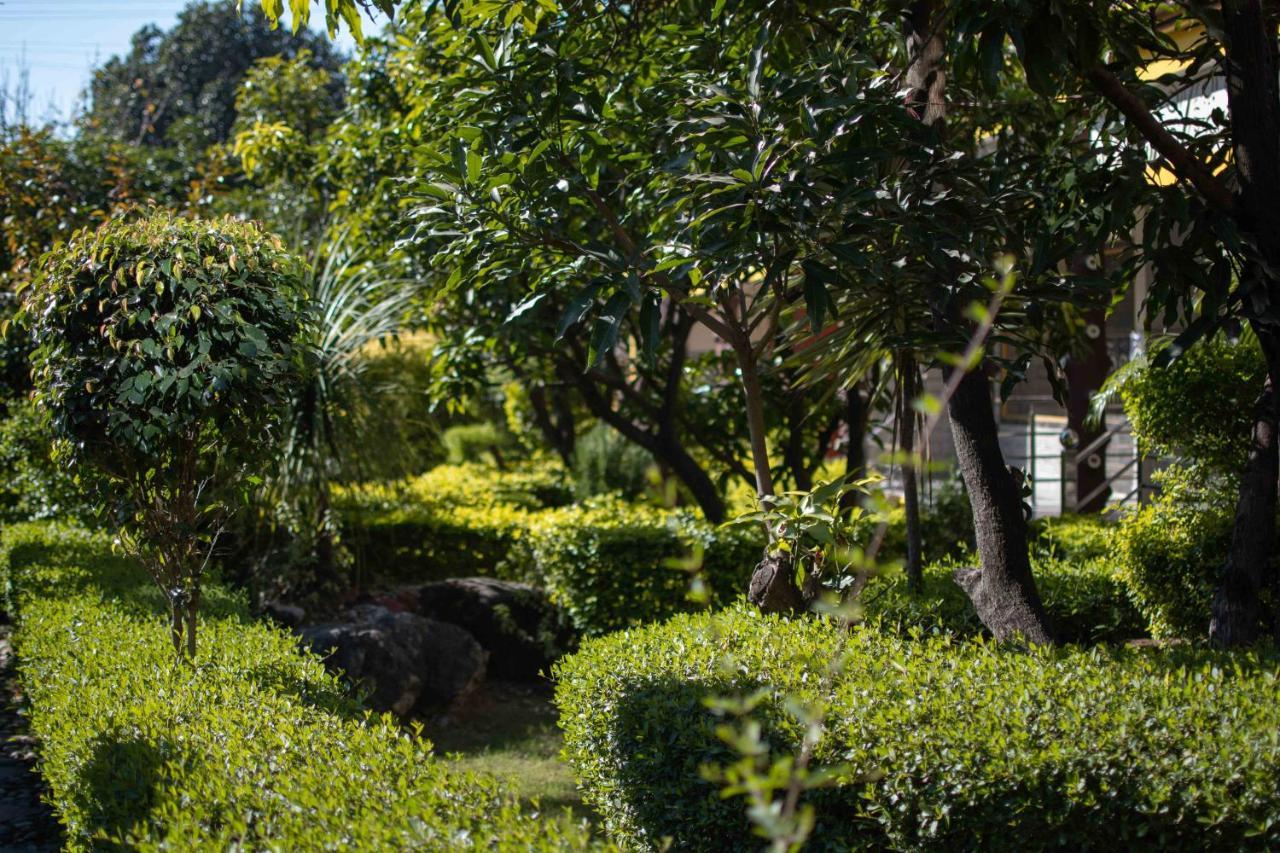 Mvt Guesthouse & Restaurant Rishīkesh Exterior foto